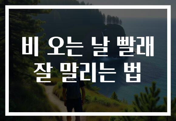 비 오는 날 빨래 잘 말리는 법