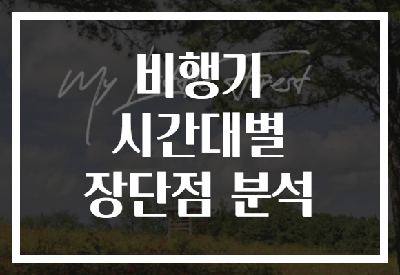 비행기 시간대별 장단점 분석