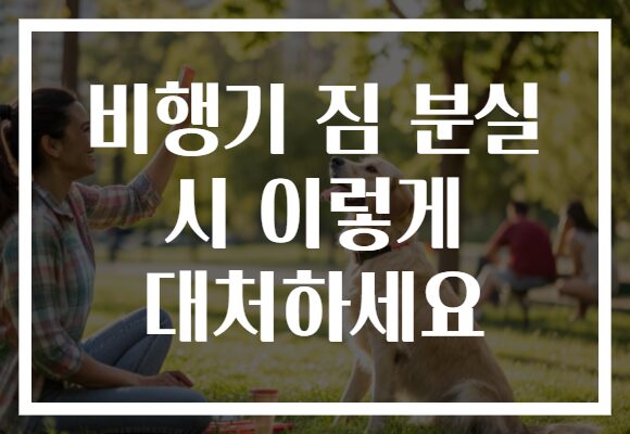 비행기 짐 분실 시 이렇게 대처하세요