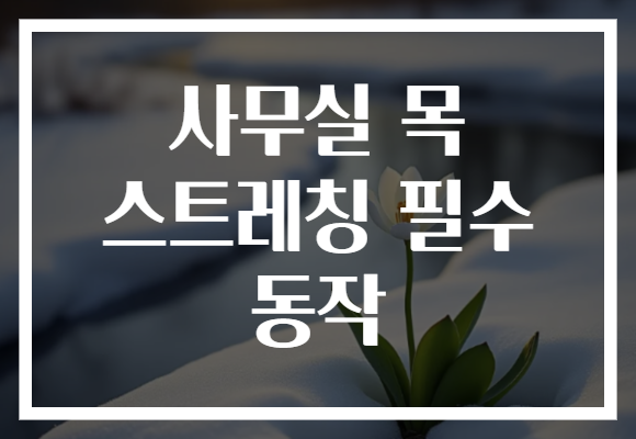 사무실 목 스트레칭 필수 동작