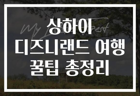 상하이 디즈니랜드 여행 꿀팁 총정리
