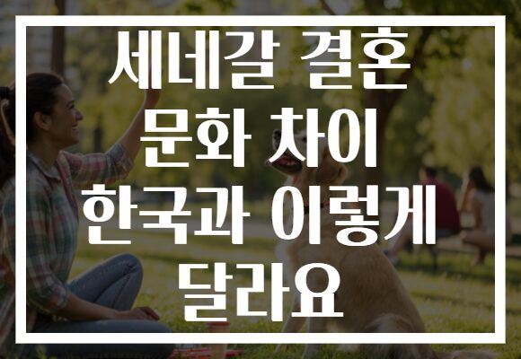 세네갈 결혼 문화 차이 한국과 이렇게 달라요