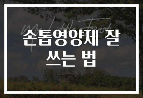 손톱영양제 잘 쓰는 법