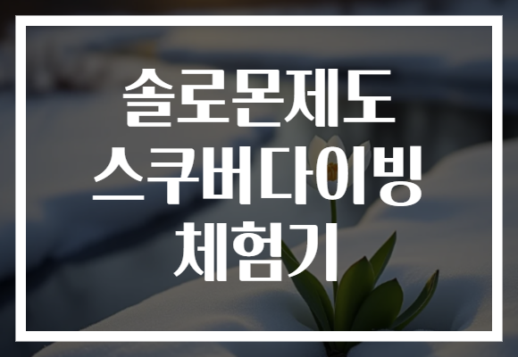 솔로몬제도 스쿠버다이빙 체험기