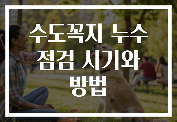 수도꼭지 누수 점검 시기와 방법