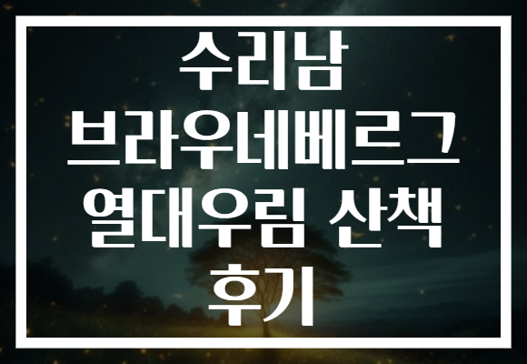 수리남 브라우네베르그 열대우림 산책 후기