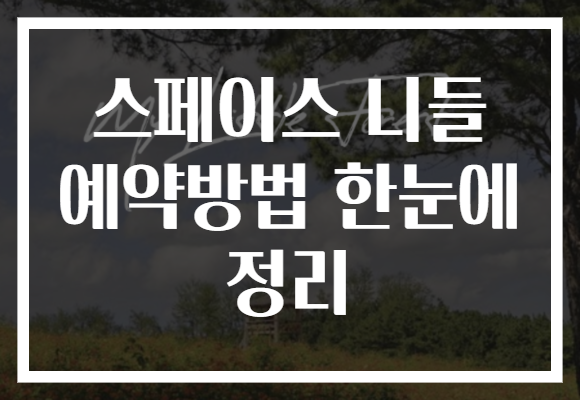스페이스 니들 예약방법 한눈에 정리