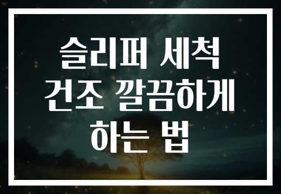 슬리퍼 세척 건조 깔끔하게 하는 법