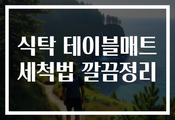 식탁 테이블매트 세척법 깔끔정리