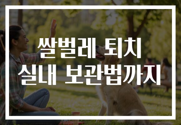 쌀벌레 퇴치 실내 보관법까지