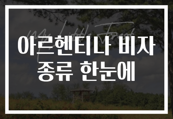 아르헨티나 비자 종류 한눈에