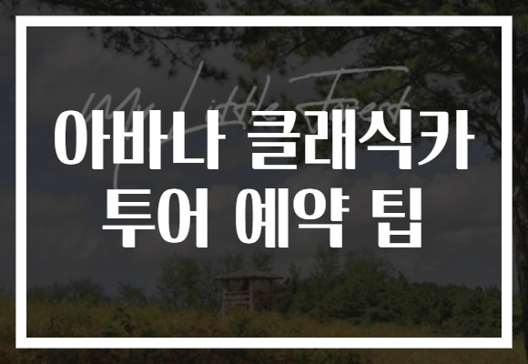 아바나 클래식카 투어 예약 팁