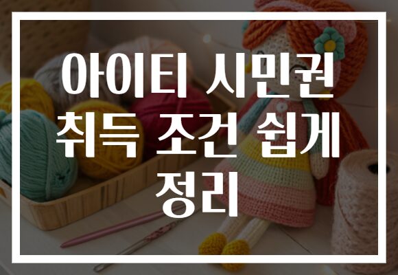 아이티 시민권 취득 조건 쉽게 정리