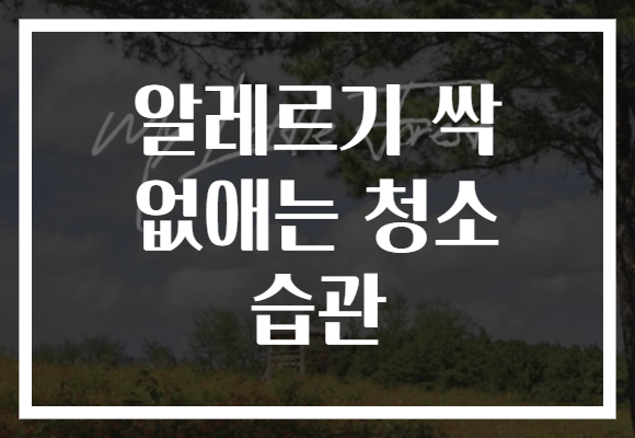 알레르기 싹 없애는 청소 습관
