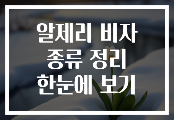 알제리 비자 종류 정리 한눈에 보기