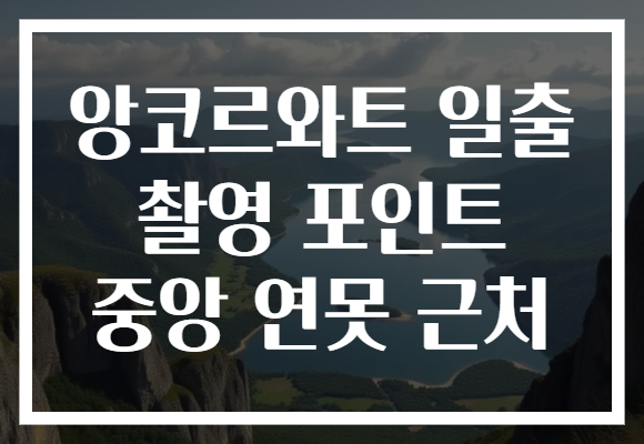 앙코르와트 일출 촬영 포인트 중앙 연못 근처