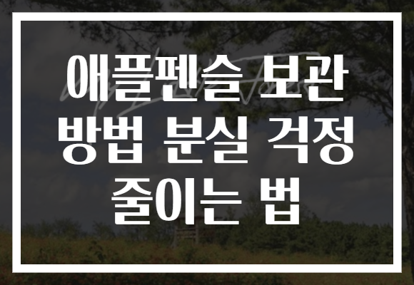 애플펜슬 보관 방법 분실 걱정 줄이는 법