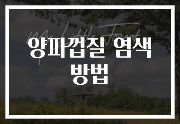 양파껍질 염색 방법