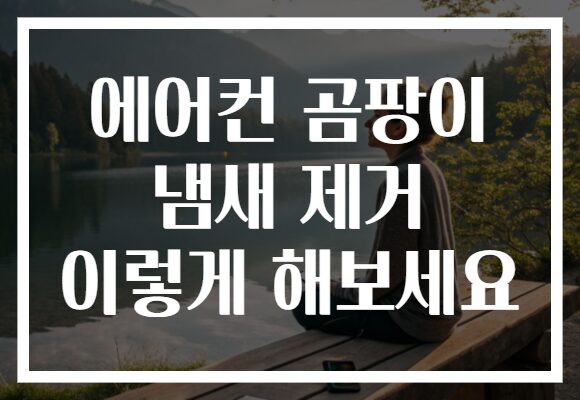 에어컨 곰팡이 냄새 제거 이렇게 해보세요