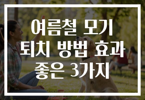 여름철 모기 퇴치 방법 효과 좋은 3가지