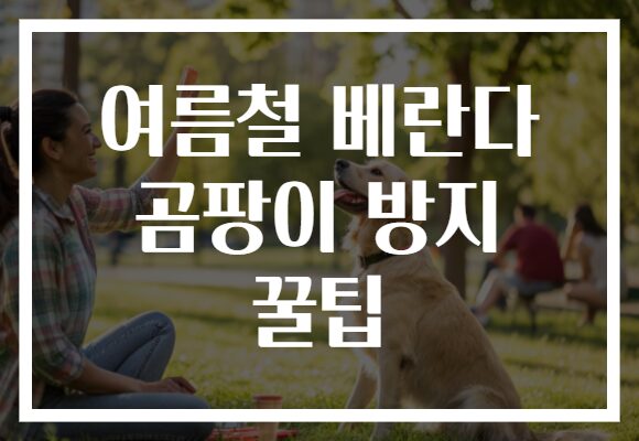 여름철 베란다 곰팡이 방지 꿀팁