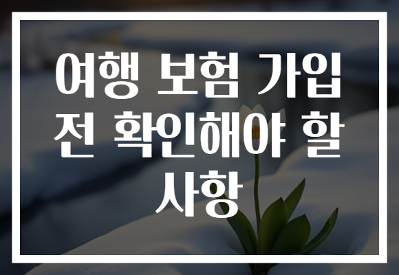 여행 보험 가입 전 확인해야 할 사항