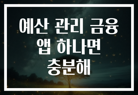 예산 관리 금융 앱 하나면 충분해