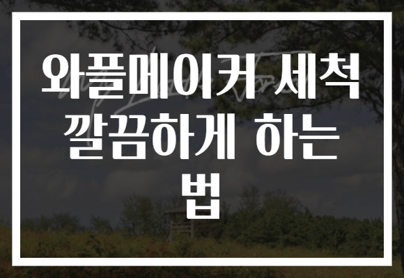 와플메이커 세척 깔끔하게 하는 법