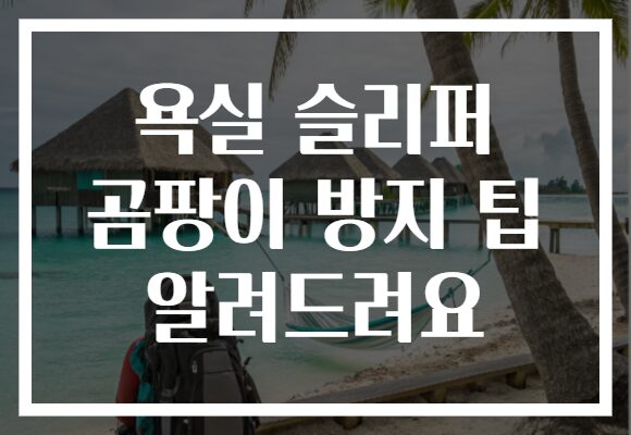 욕실 슬리퍼 곰팡이 방지 팁 알려드려요
