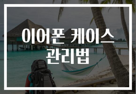 이어폰 케이스 관리법