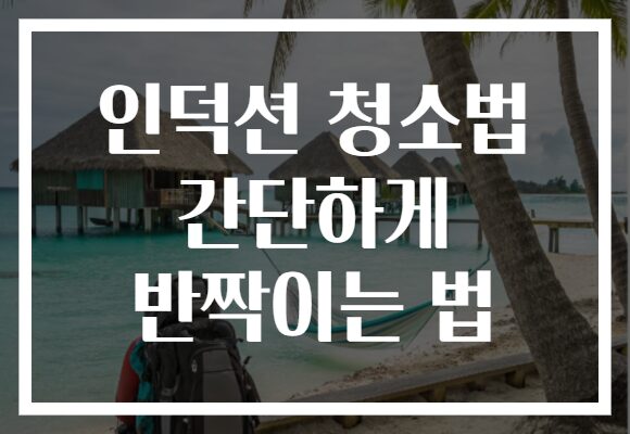 인덕션 청소법 간단하게 반짝이는 법