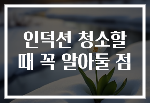 인덕션 청소할 때 꼭 알아둘 점