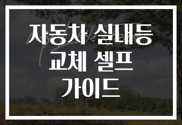 자동차 실내등 교체 셀프 가이드