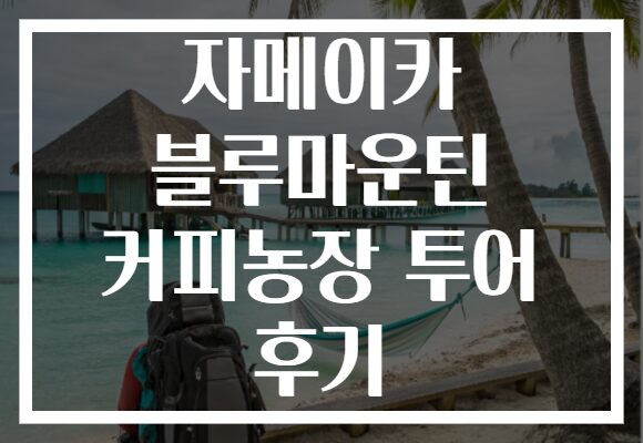 자메이카 블루마운틴 커피농장 투어 후기