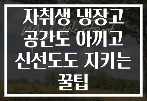 자취생 냉장고 공간도 아끼고 신선도도 지키는 꿀팁