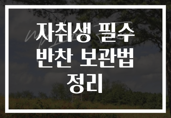 자취생 필수 반찬 보관법 정리