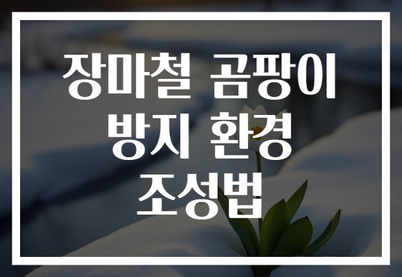 장마철 곰팡이 방지 환경 조성법
