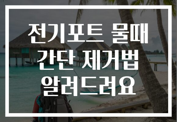 전기포트 물때 간단 제거법 알려드려요