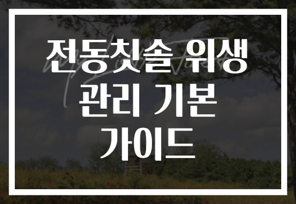 전동칫솔 위생 관리 기본 가이드