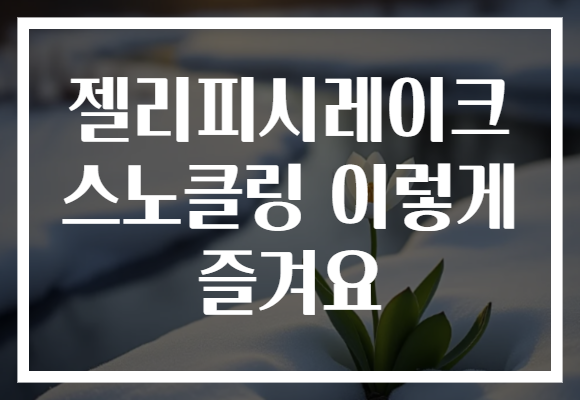 젤리피시레이크 스노클링 이렇게 즐겨요