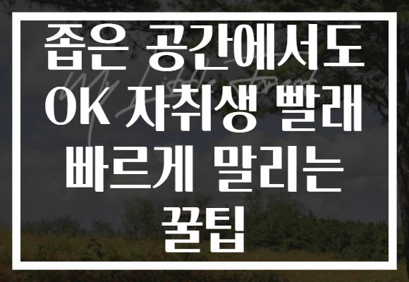 좁은 공간에서도 OK 자취생 빨래 빠르게 말리는 꿀팁