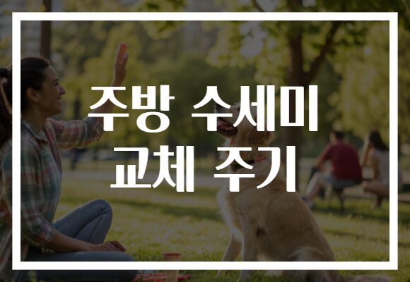 주방 수세미 교체 주기