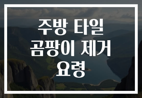 주방 타일 곰팡이 제거 요령