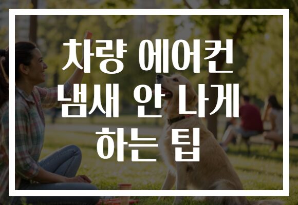차량 에어컨 냄새 안 나게 하는 팁