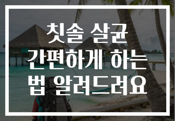 칫솔 살균 간편하게 하는 법 알려드려요