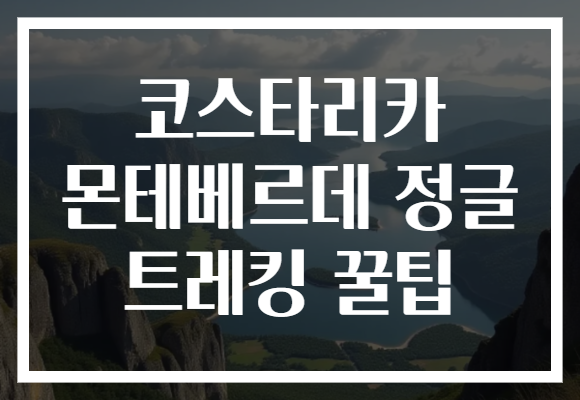 코스타리카 몬테베르데 정글 트레킹 꿀팁