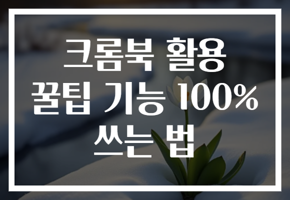 크롬북 활용 꿀팁 기능 100% 쓰는 법