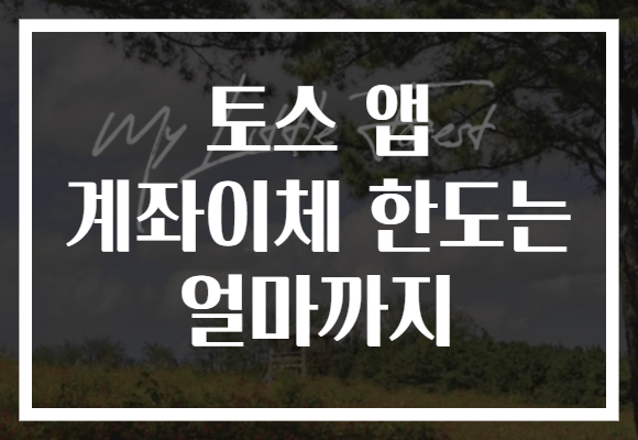 토스 앱 계좌이체 한도는 얼마까지