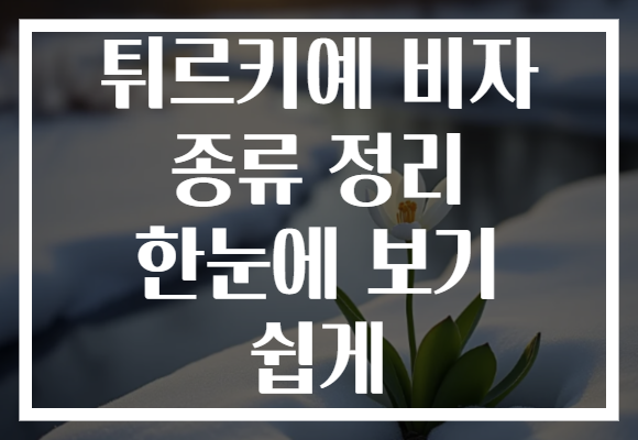 튀르키예 비자 종류 정리 한눈에 보기 쉽게
