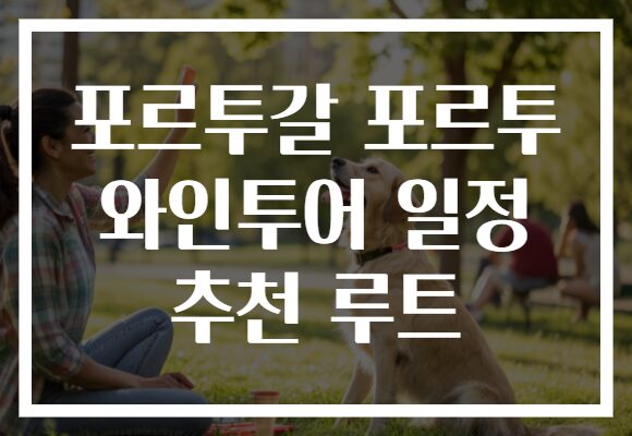 포르투갈 포르투 와인투어 일정 추천 루트